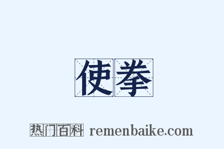 使拳是什么意思的图片
